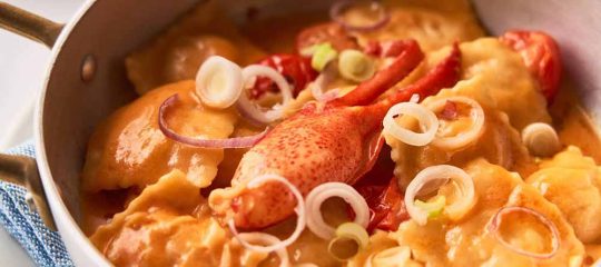 スターズ アンド カチョ